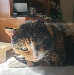 Meet your Posher, Jerry